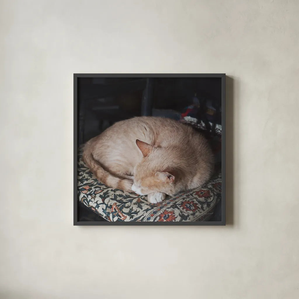 Sleepy Afternoon by Laura Marshall. Shown in a sleek black glass frame for a contemporary gallery look. Available as an archival giclee rolled canvas, fine art paper, or poster print. SKU 38779a.