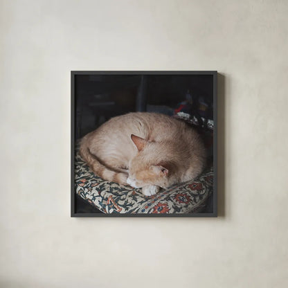 Sleepy Afternoon by Laura Marshall. Shown in a sleek black glass frame for a contemporary gallery look. Available as an archival giclee rolled canvas, fine art paper, or poster print. SKU 38779a.