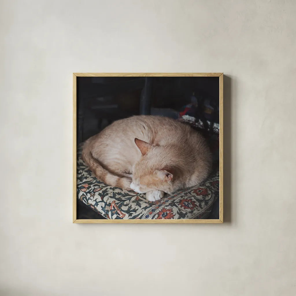 Sleepy Afternoon by Laura Marshall. Shown in a natural wood glass frame for a timeless modern aesthetic. Available as an archival giclee rolled canvas, fine art paper, or poster print. SKU 38779a.