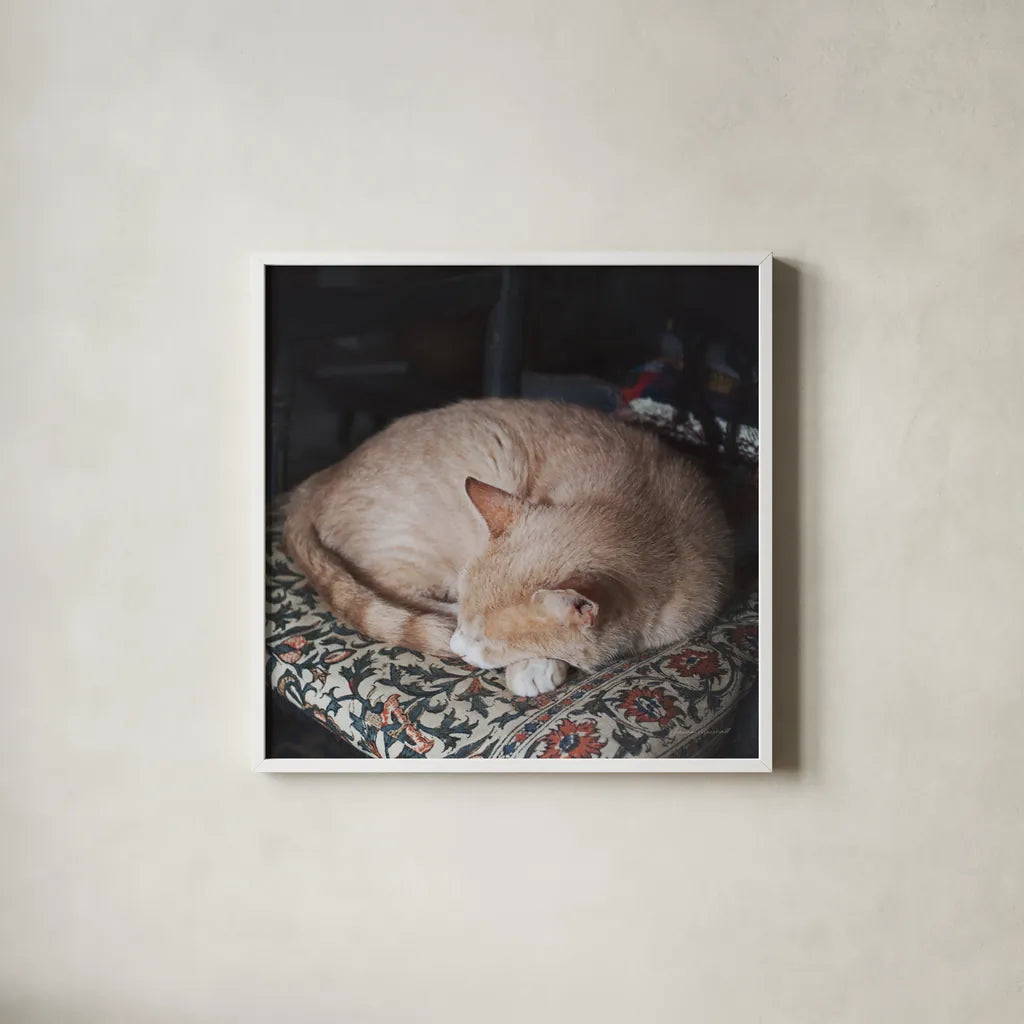 Sleepy Afternoon by Laura Marshall. Shown in a crisp white glass frame for a clean and minimalist style. Available as an archival giclee rolled canvas, fine art paper, or poster print. SKU 38779a.