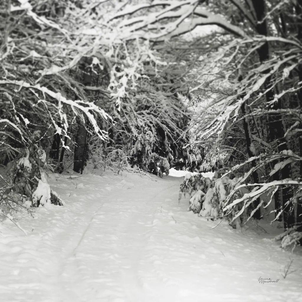 Snowed In by Laura Marshall. SKU 34168a. Archival Giclee Fine art print for wall decor.