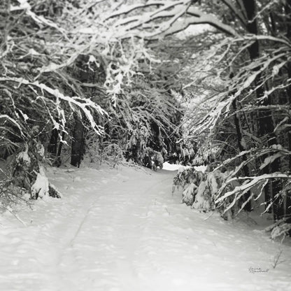 Snowed In by Laura Marshall. SKU 34168a. Archival Giclee Fine art print for wall decor.