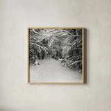 Snowed In by Laura Marshall. Shown in a natural wood glass frame for a timeless modern aesthetic. Available as an archival giclee rolled canvas, fine art paper, or poster print. SKU 34168a.