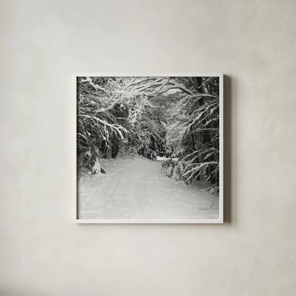 Snowed In by Laura Marshall. Shown in a crisp white glass frame for a clean and minimalist style. Available as an archival giclee rolled canvas, fine art paper, or poster print. SKU 34168a.