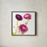 Spring Ranunculus I by Laura Marshall. Shown in a sleek black glass frame for a contemporary gallery look. Available as an archival giclee rolled canvas, fine art paper, or poster print. SKU 25097a.