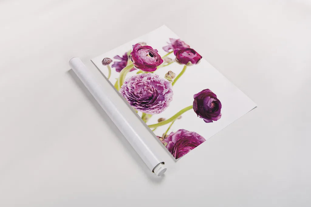 Spring Ranunculus IV by Laura Marshall. shown as a rolled paper print. Available as archival giclee rolled canvas, fine art paper, or poster print. SKU 25100i.