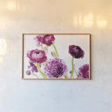 Spring Ranunculus IV by Laura Marshall. shown as a paper print in a natural frame. Available as a archival giclee rolled canvas, fine art paper, or poster print. SKU 25100i.