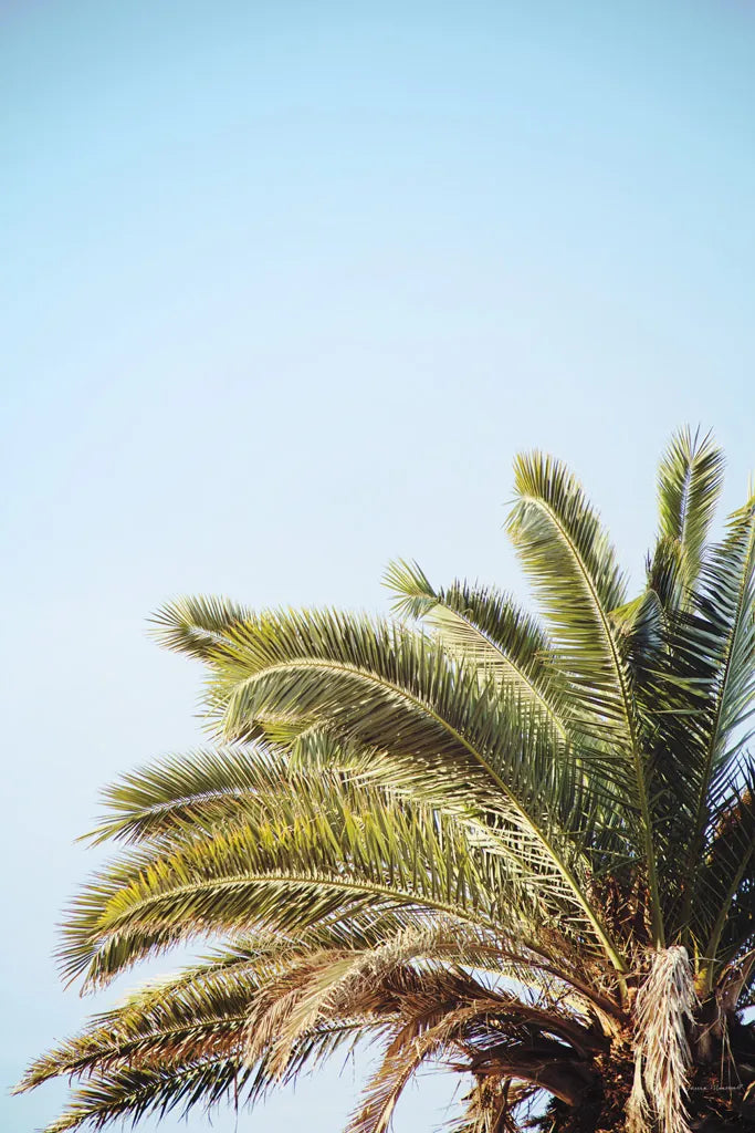 Summer I by Laura Marshall. SKU 42854h. Archival Giclee Fine art print for wall decor.