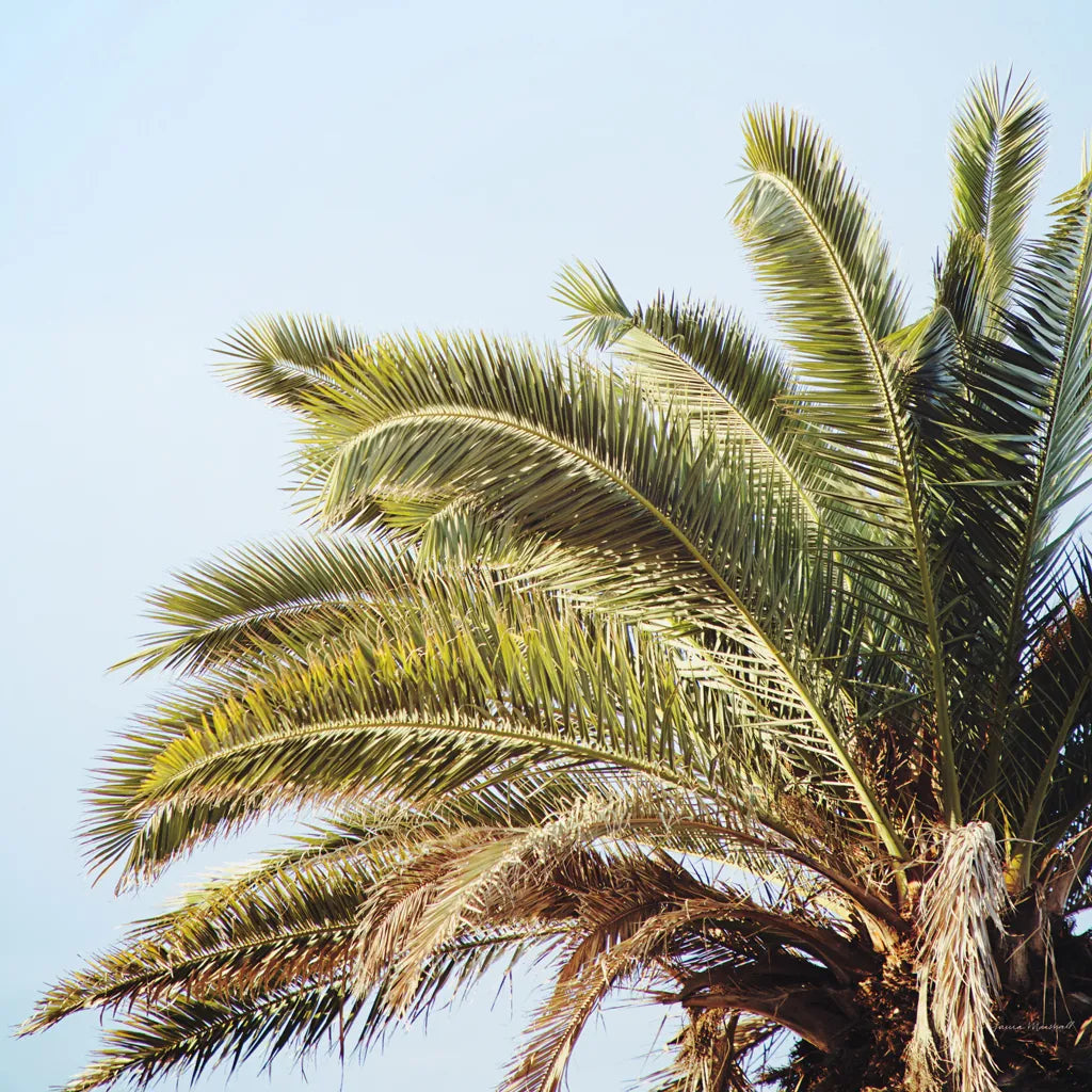 Summer I Crop by Laura Marshall. SKU 42854a. Archival Giclee Fine art print for wall decor.