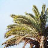 Summer I Crop by Laura Marshall. SKU 42854a. Archival Giclee Fine art print for wall decor.
