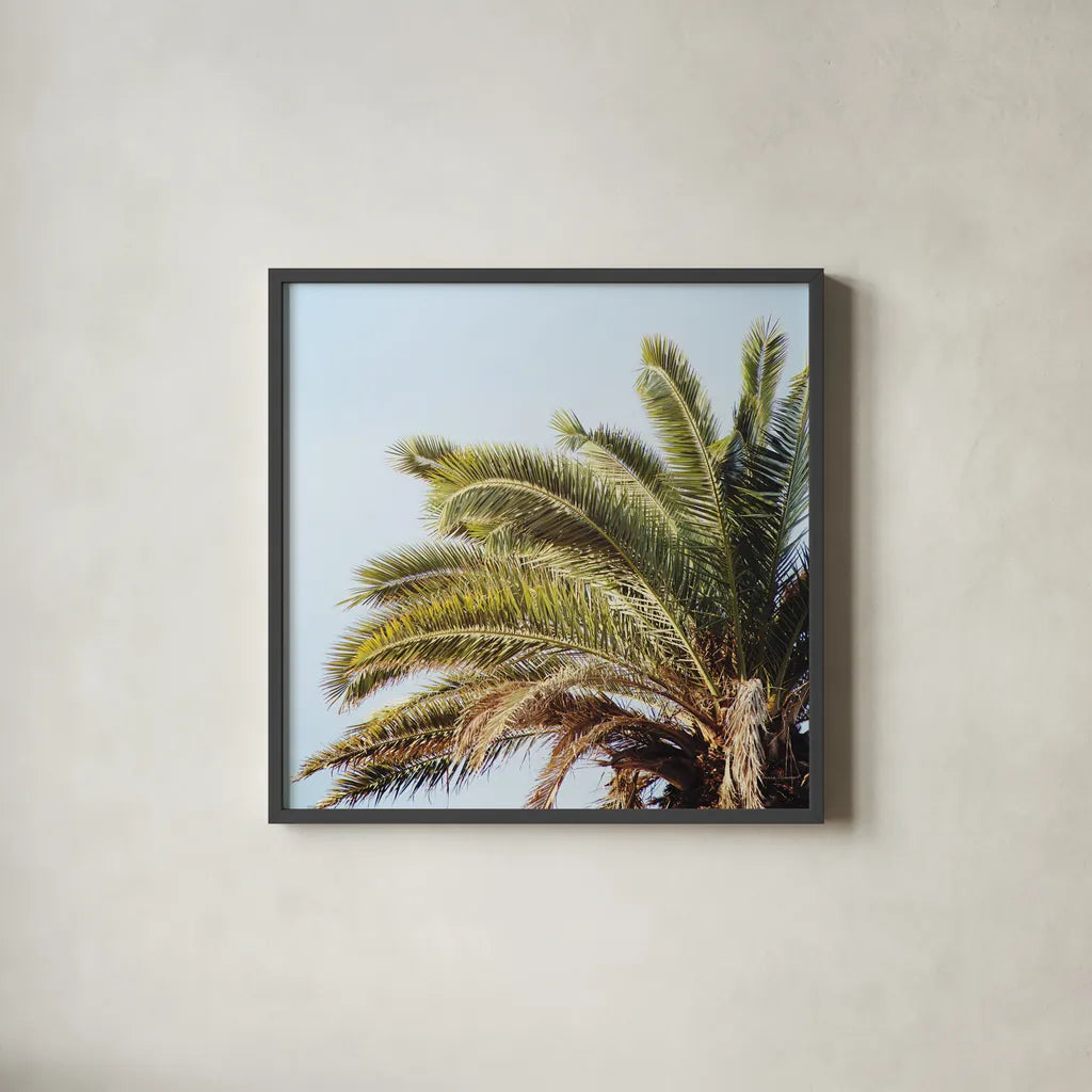 Summer I Crop by Laura Marshall. Shown in a sleek black glass frame for a contemporary gallery look. Available as an archival giclee rolled canvas, fine art paper, or poster print. SKU 42854a.