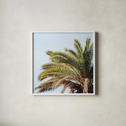 Summer I Crop by Laura Marshall. Shown in a crisp white glass frame for a clean and minimalist style. Available as an archival giclee rolled canvas, fine art paper, or poster print. SKU 42854a.