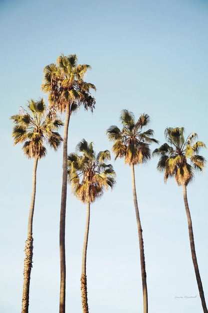 Summer II by Laura Marshall. SKU 42855h. Archival Giclee Fine art print for wall decor.