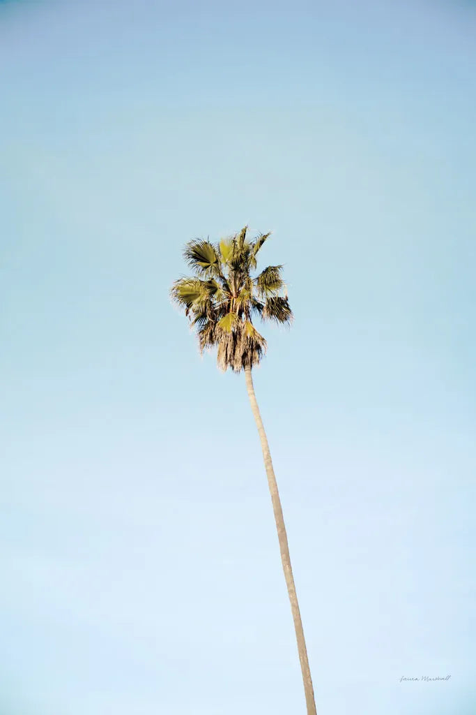 Summer III by Laura Marshall. SKU 42856h. Archival Giclee Fine art print for wall decor.