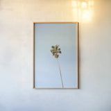 Summer III by Laura Marshall. shown as a paper print in a natural frame. Available as a archival giclee rolled canvas, fine art paper, or poster print. SKU 42856h.