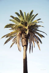 Summer IV by Laura Marshall. SKU 42857h. Archival Giclee Fine art print for wall decor.