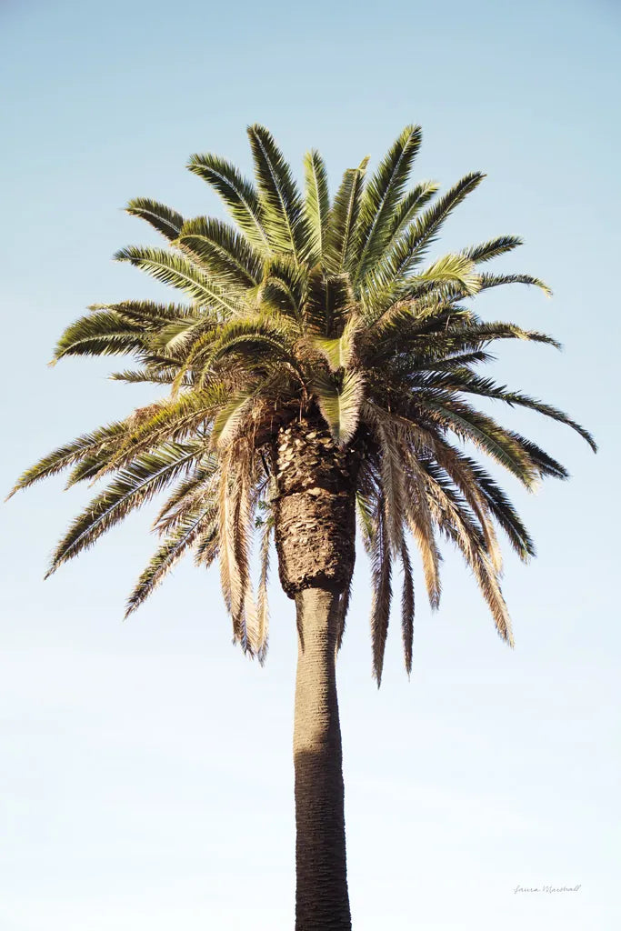 Summer IV by Laura Marshall. SKU 42857h. Archival Giclee Fine art print for wall decor.