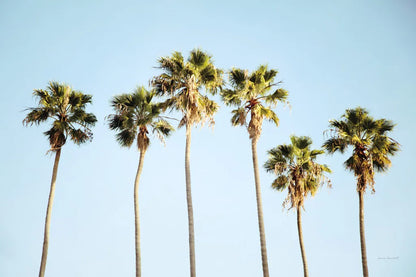 Summer V by Laura Marshall. SKU 42858i. Archival Giclee Fine art print for wall decor.