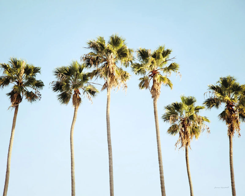 Summer V Crop by Laura Marshall