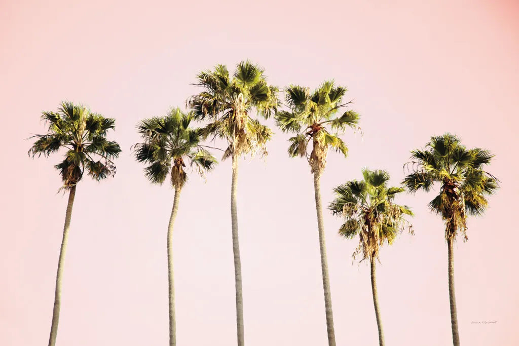 Summer V Pink by Laura Marshall. SKU 82317i. Archival Giclee Fine art print for wall decor.