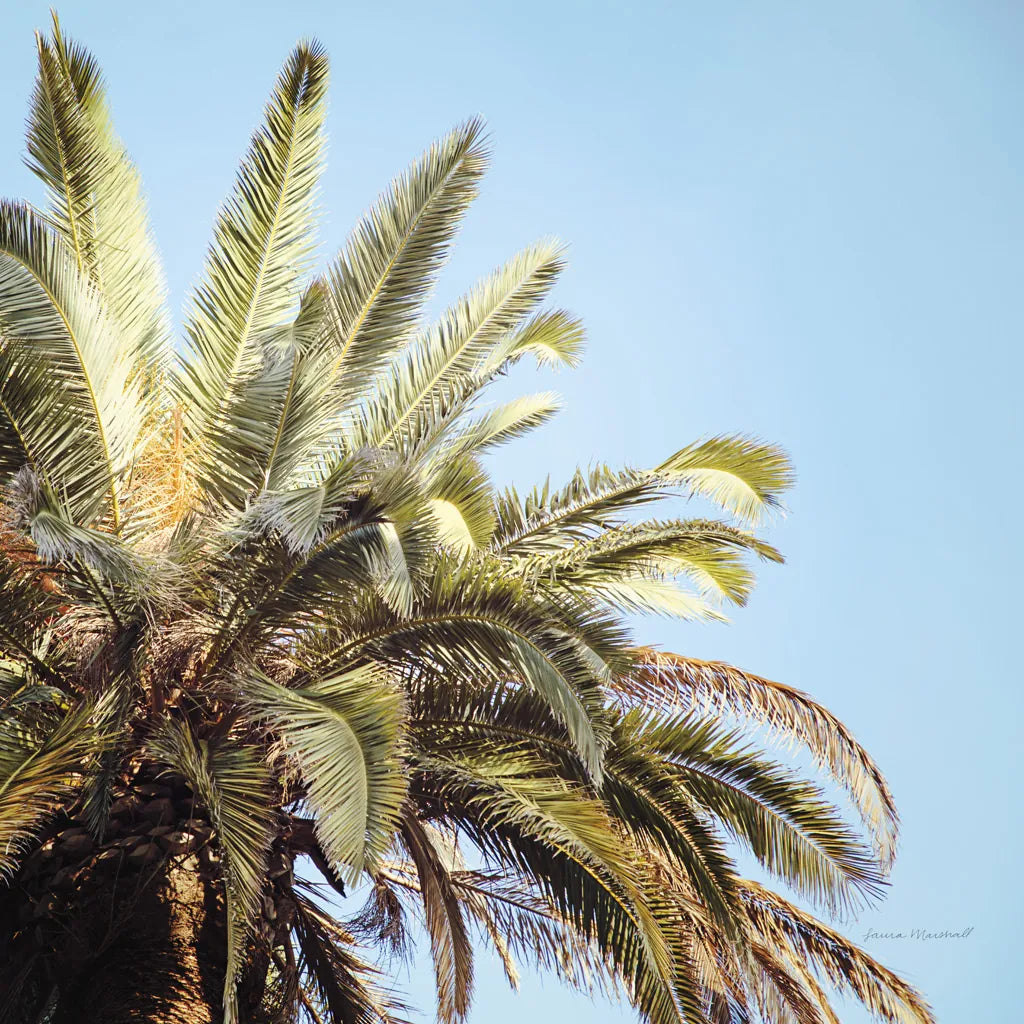 Summer VI by Laura Marshall. SKU 42859a. Archival Giclee Fine art print for wall decor.