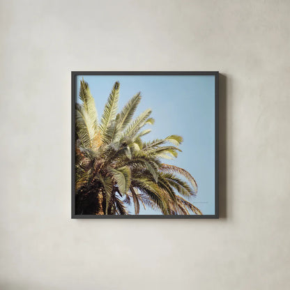 Summer VI by Laura Marshall. Shown in a sleek black glass frame for a contemporary gallery look. Available as an archival giclee rolled canvas, fine art paper, or poster print. SKU 42859a.