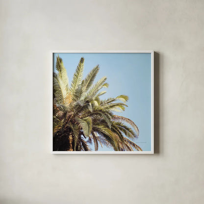 Summer VI by Laura Marshall. Shown in a crisp white glass frame for a clean and minimalist style. Available as an archival giclee rolled canvas, fine art paper, or poster print. SKU 42859a.