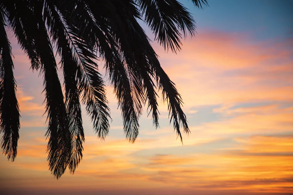 Sunset Palms I by Laura Marshall. SKU 42851i. Archival Giclee Fine art print for wall decor.
