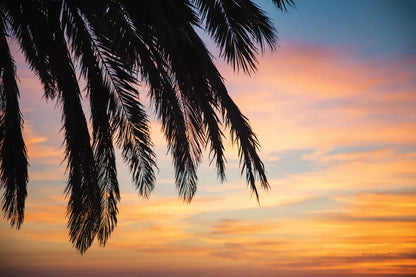 Sunset Palms I by Laura Marshall. SKU 42851i. Archival Giclee Fine art print for wall decor.