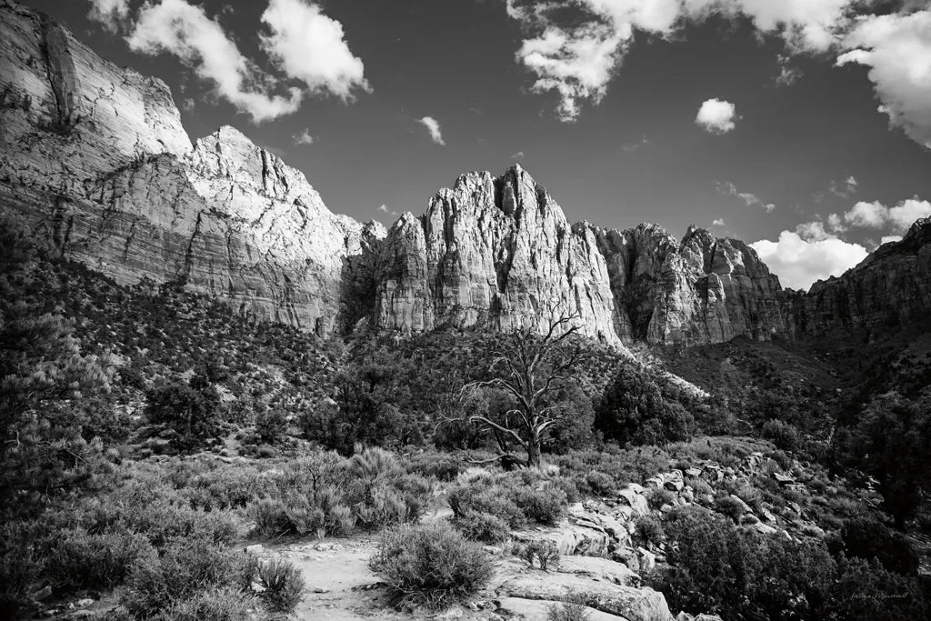 The Watchman II by Laura Marshall. SKU 64418i. Archival Giclee Fine art print for wall decor.