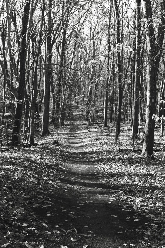 Through the Woods by Laura Marshall. SKU 17700h. Archival Giclee Fine art print for wall decor.