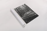 Through the Woods by Laura Marshall. shown as a rolled paper print. Available as archival giclee rolled canvas, fine art paper, or poster print. SKU 17700h.