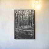 Through the Woods by Laura Marshall. shown as a paper print in a black flame. Available as a archival giclee rolled canvas, fine art paper, or poster print. SKU 17700h.
