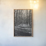 Through the Woods by Laura Marshall. shown as a paper print in a natural frame. Available as a archival giclee rolled canvas, fine art paper, or poster print. SKU 17700h.