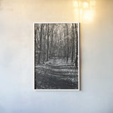 Through the Woods by Laura Marshall. shown as a paper print in a white frame. Available as a archival giclee rolled canvas, fine art paper, or poster print. SKU 17700h.