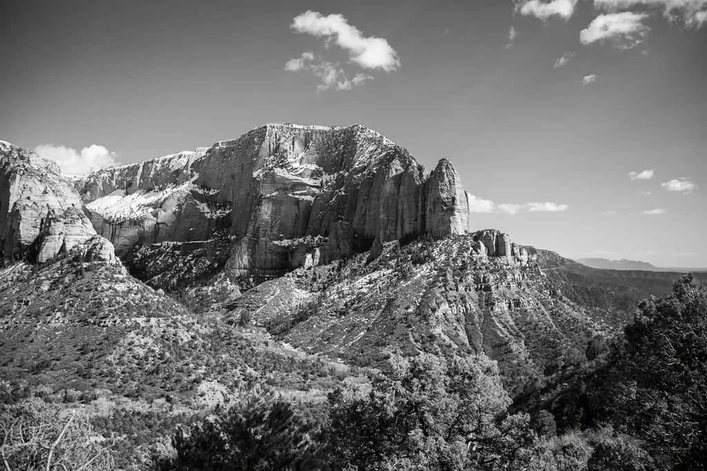 Timber Top by Laura Marshall. SKU 64419i. Archival Giclee Fine art print for wall decor.