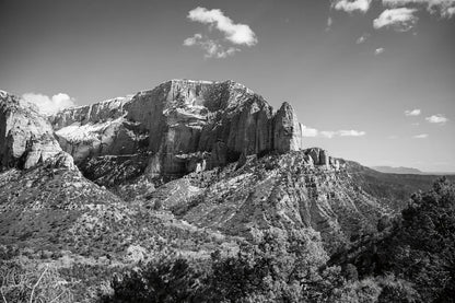 Timber Top by Laura Marshall. SKU 64419i. Archival Giclee Fine art print for wall decor.