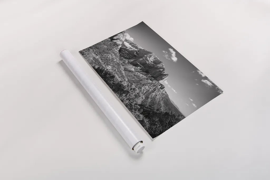 Timber Top by Laura Marshall. shown as a rolled paper print. Available as archival giclee rolled canvas, fine art paper, or poster print. SKU 64419i.