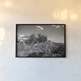 Timber Top by Laura Marshall. shown as a paper print in a black flame. Available as a archival giclee rolled canvas, fine art paper, or poster print. SKU 64419i.