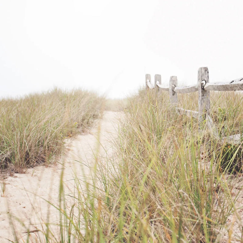 To the Beach by Laura Marshall. SKU 38776a. Archival Giclee Fine art print for wall decor.