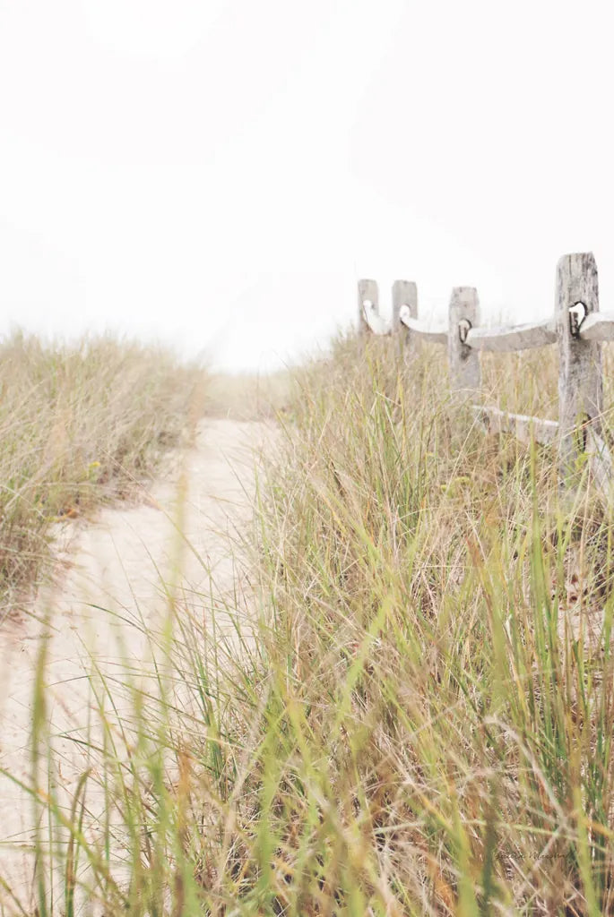 To the Beach Crop by Laura Marshall. SKU 38776h. Archival Giclee Fine art print for wall decor.