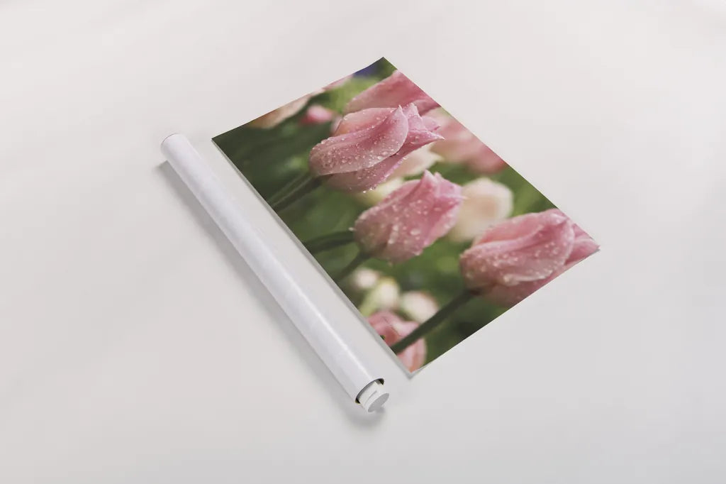 Tulips after the Rain by Laura Marshall. shown as a rolled paper print. Available as archival giclee rolled canvas, fine art paper, or poster print. SKU 17725i.