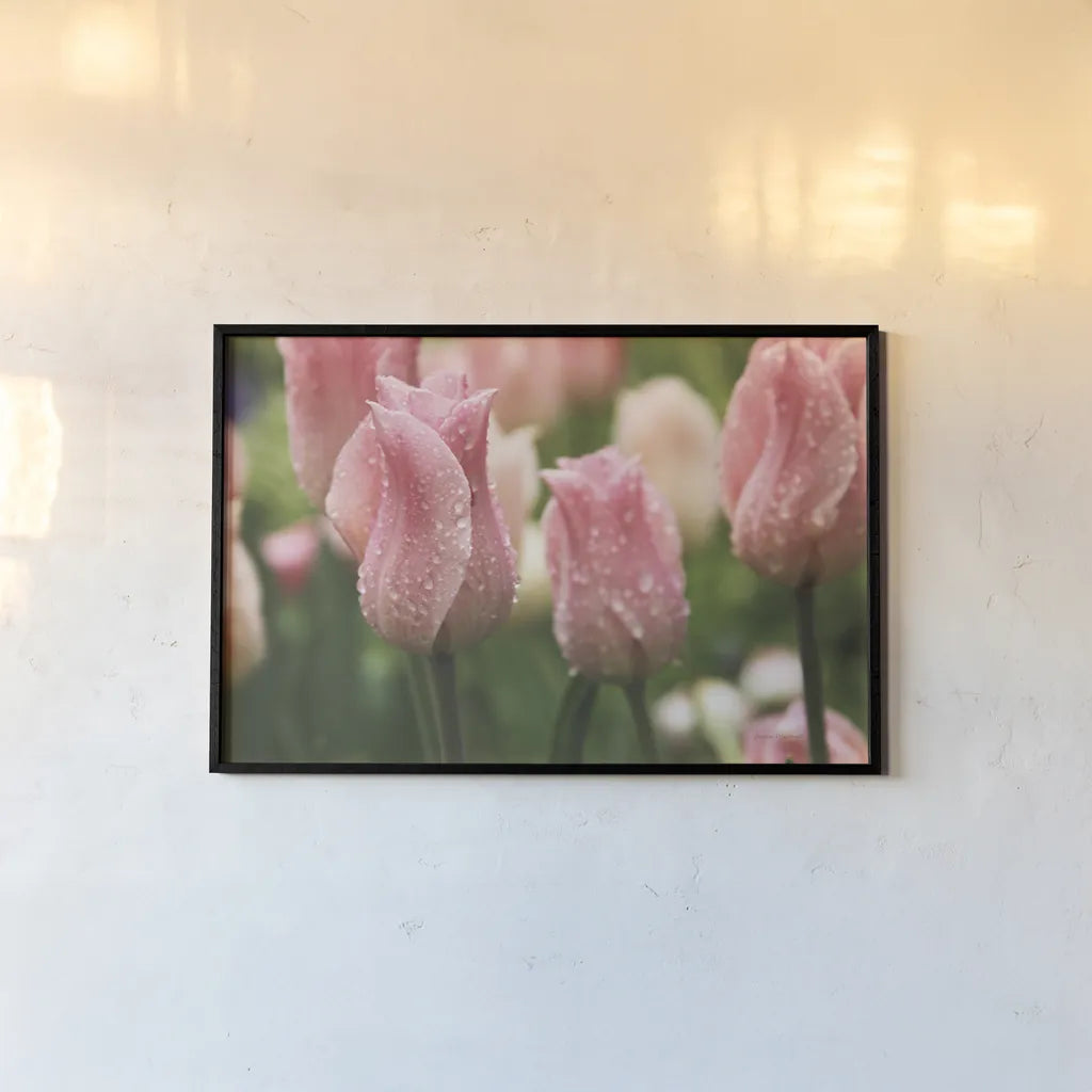 Tulips after the Rain by Laura Marshall. shown as a paper print in a black flame. Available as a archival giclee rolled canvas, fine art paper, or poster print. SKU 17725i.