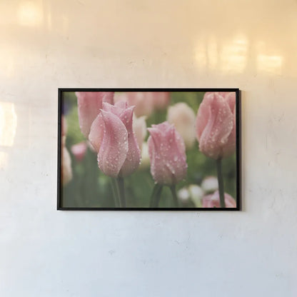 Tulips after the Rain by Laura Marshall. shown as a paper print in a black flame. Available as a archival giclee rolled canvas, fine art paper, or poster print. SKU 17725i.