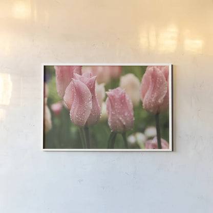 Tulips after the Rain by Laura Marshall. shown as a paper print in a white frame. Available as a archival giclee rolled canvas, fine art paper, or poster print. SKU 17725i.