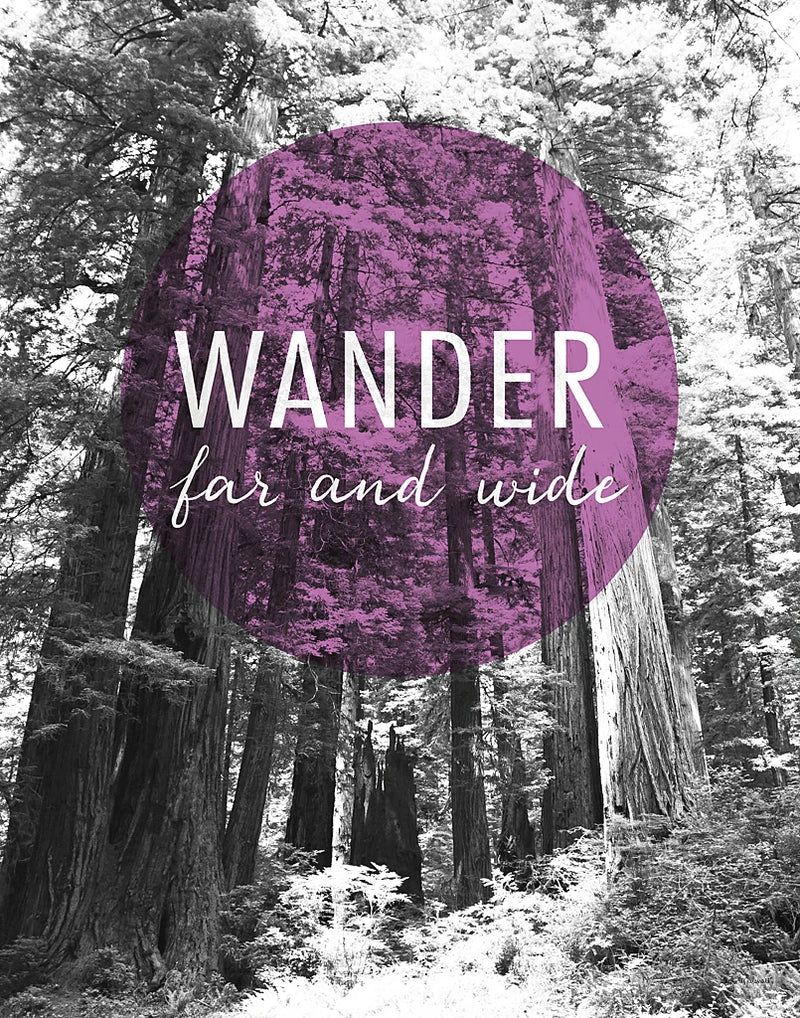 Wander Far and Wide by Laura Marshall