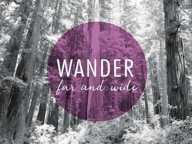 Wander Far and Wide v2 by Laura Marshall