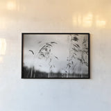 Windy Wheat Fields I by Laura Marshall. shown as a paper print in a black flame. Available as a archival giclee rolled canvas, fine art paper, or poster print. SKU 18265i.