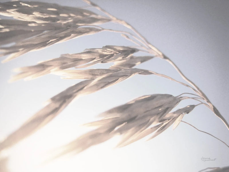 Windy Wheat Fields II Light by Laura Marshall