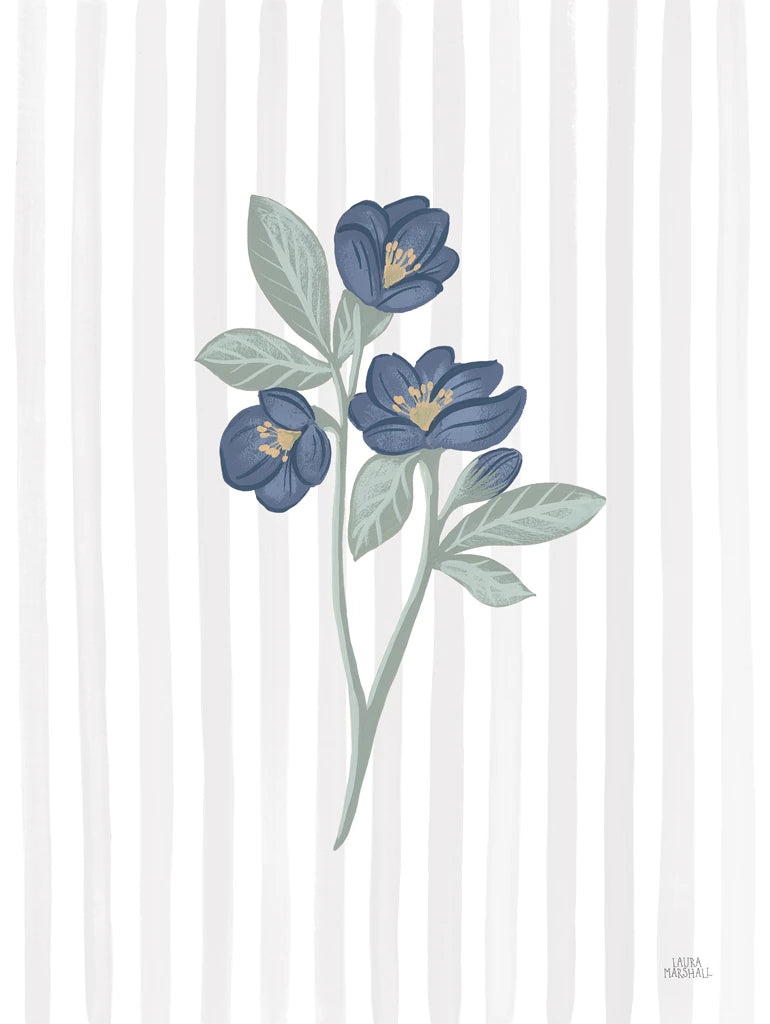 Winter Spirit Hellebore by Laura Marshall